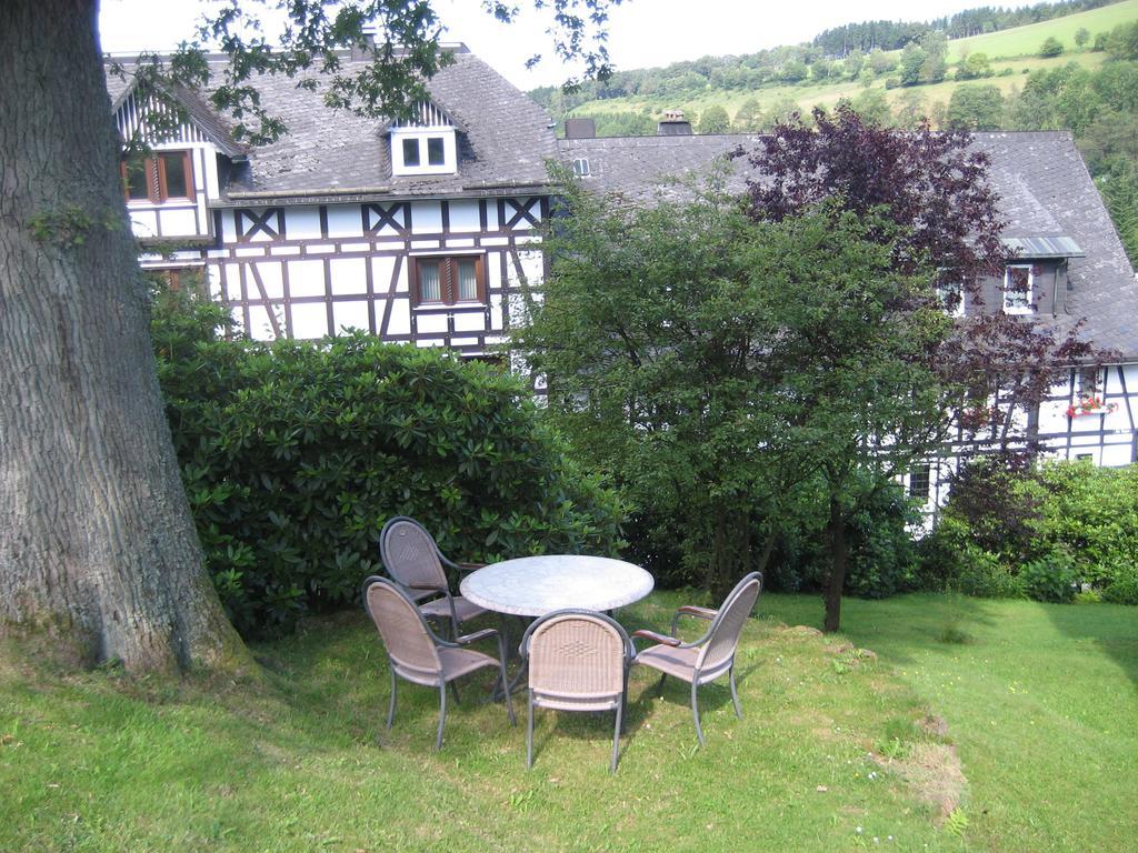 Pension Hampel Schmallenberg Room photo